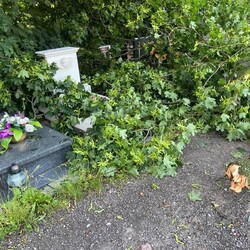 Skutki burzy w Rudzie Śląskiej