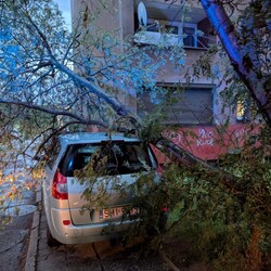 Skutki burzy w Rudzie Śląskiej