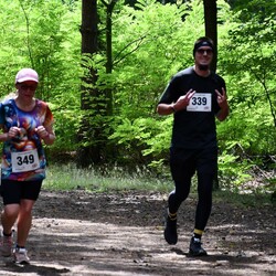 Lipcowy Bieg Wiewiórki