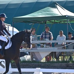 Towarzyskie Zawody Jeździeckie o Puchar Prezydenta Miasta