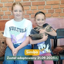 Adopcje TOZ Fauna