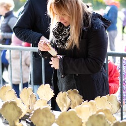 Ostatni Bieg Wiewiórki w 2025 roku