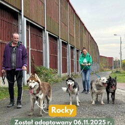 Adopcje TOZ Fauna