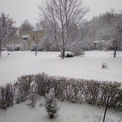 Ruda Śląska w śnieżnej odsłonie