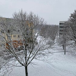 Ruda Śląska w śnieżnej odsłonie