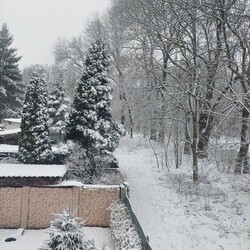 Ruda Śląska w śnieżnej odsłonie