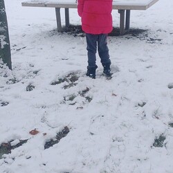 Ruda Śląska w śnieżnej odsłonie