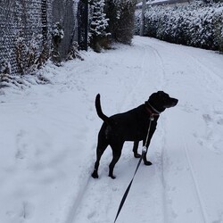 Ruda Śląska w śnieżnej odsłonie
