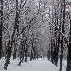 Ruda Śląska w śnieżnej odsłonie