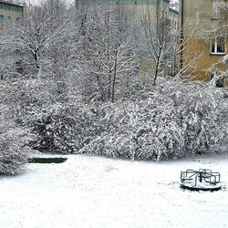 Ruda Śląska w śnieżnej odsłonie