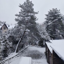 Ruda Śląska w śnieżnej odsłonie