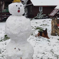 Ruda Śląska w śnieżnej odsłonie