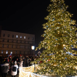 Rozświetlenie choinki