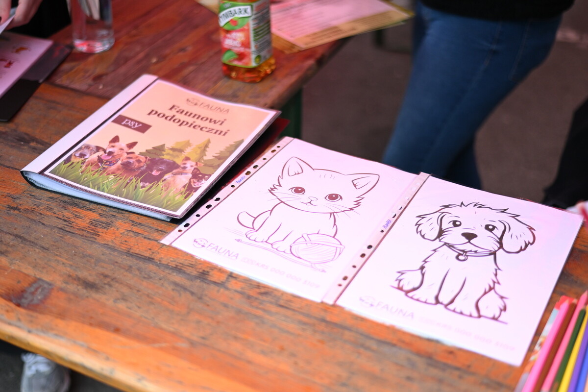 Fundacja „Zapasy Sportem Wszystkich Dzieci” obchodziła 3. urodziny / fot. Krzysztof Faber