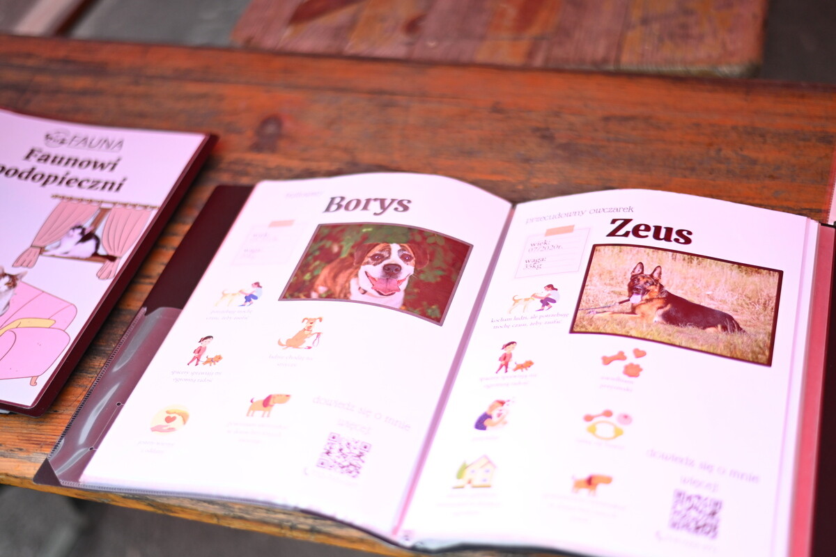 Fundacja „Zapasy Sportem Wszystkich Dzieci” obchodziła 3. urodziny / fot. Krzysztof Faber