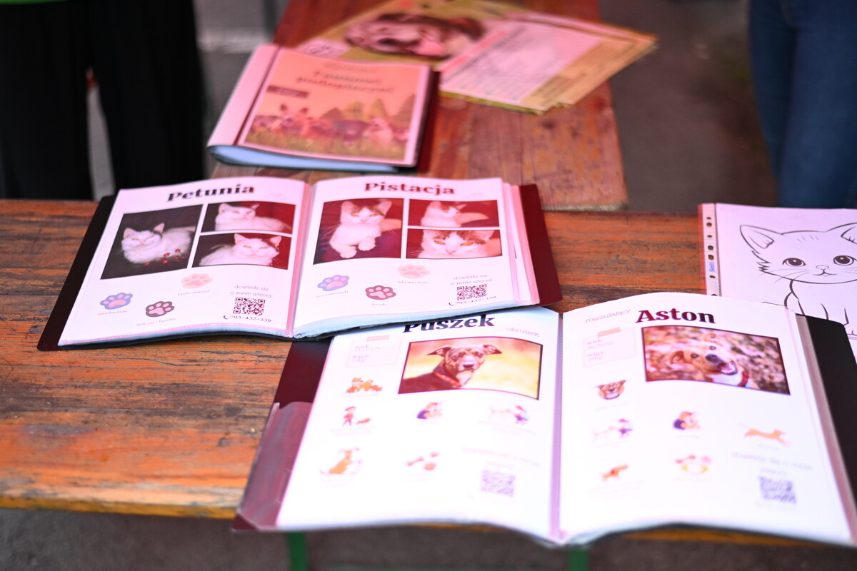 Fundacja „Zapasy Sportem Wszystkich Dzieci” obchodziła 3. urodziny / fot. Krzysztof Faber