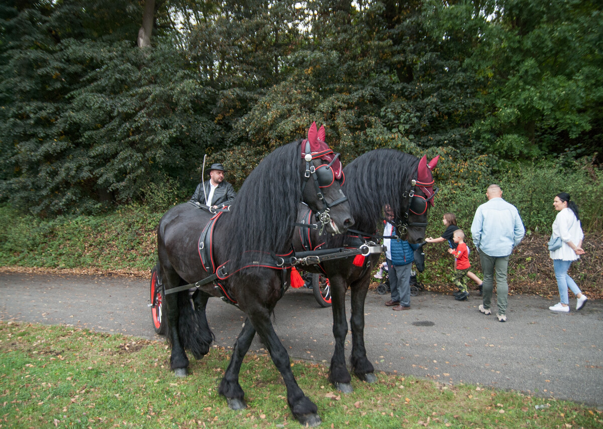 Tydzień temu była impreza przy kościele pw. Świętego Michała Archanioła, teraz przyszła pora na imprezę plenerową na orzegowskiej Burloch Arenie.