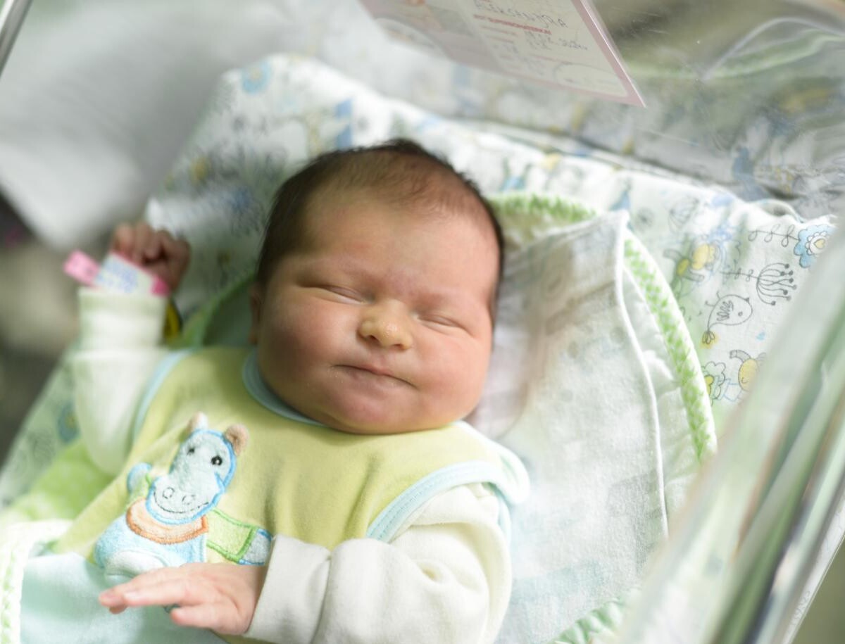 Ada Majewska - Nowak