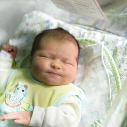 Ada Majewska - Nowak