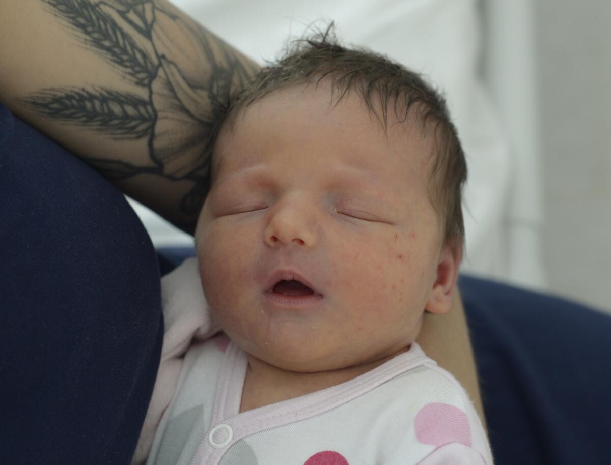 Adela Kamionka-Cichecka