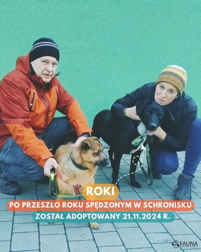 Owocny tydzień pełen adopcji w Faunie!/fot. TOZ Fauna