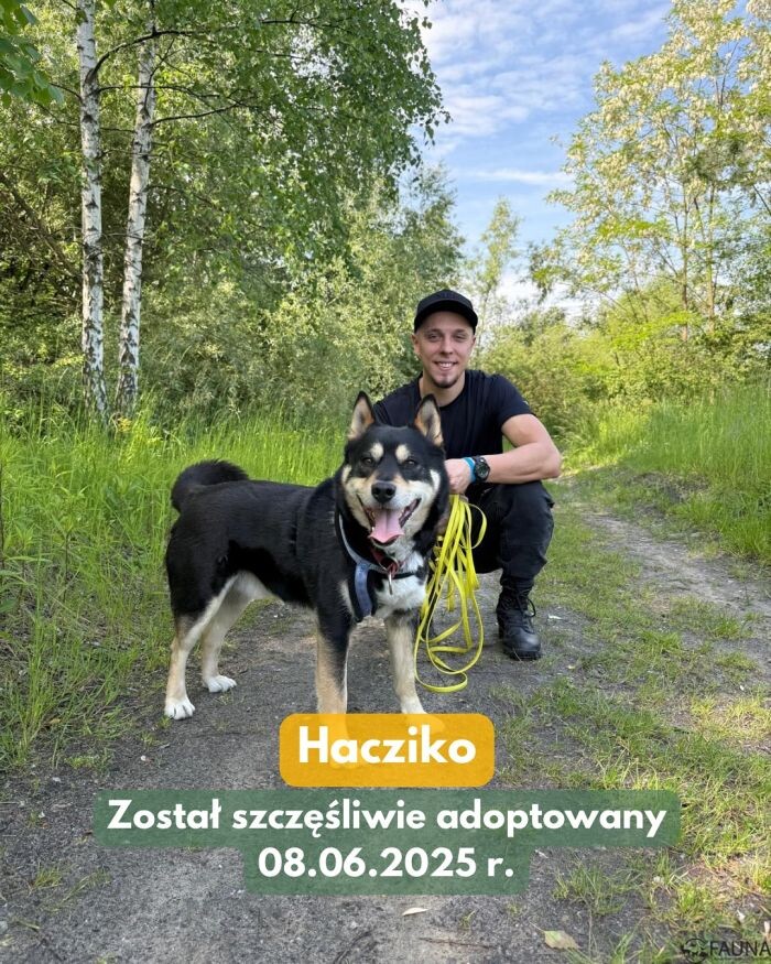 7 zwierzaków opuściło schronisko – cotygodniowy raport adopcyjny/fot. TOZ Fauna