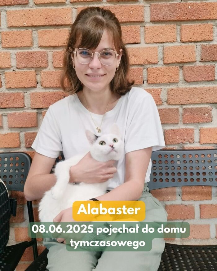 7 zwierzaków opuściło schronisko – cotygodniowy raport adopcyjny/fot. TOZ Fauna