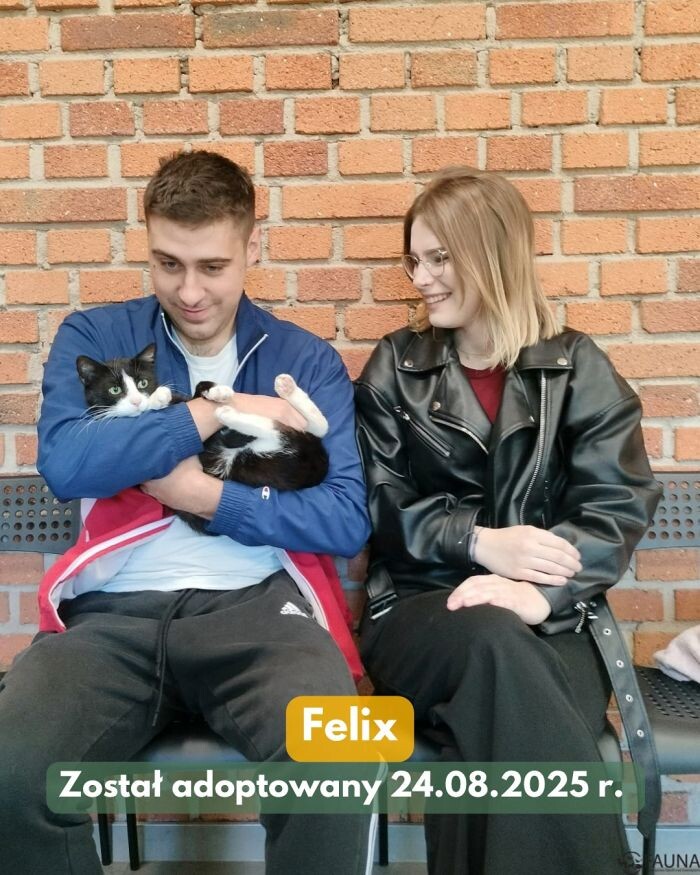 Czworonogi w nowych domach – sprawdź adopcyjne podsumowanie tygodnia!/fot. TOZ Fauna