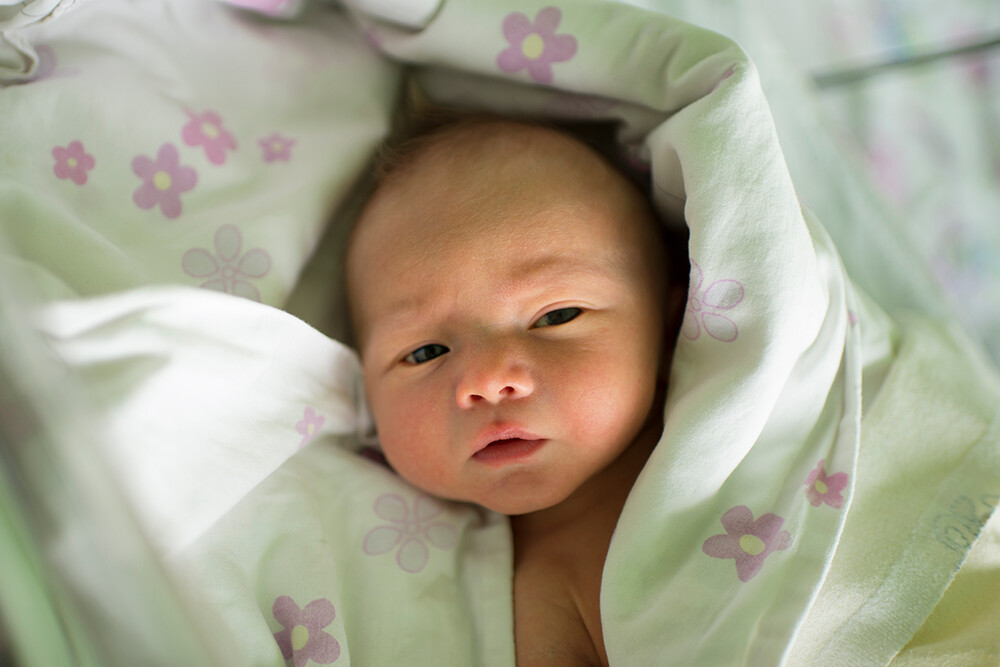 Aleksander Kowalski -Kabisz