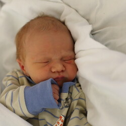 Aleksander Wójcicki