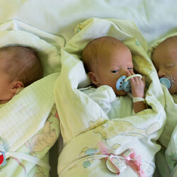 Antonii, Jakub i Dorota