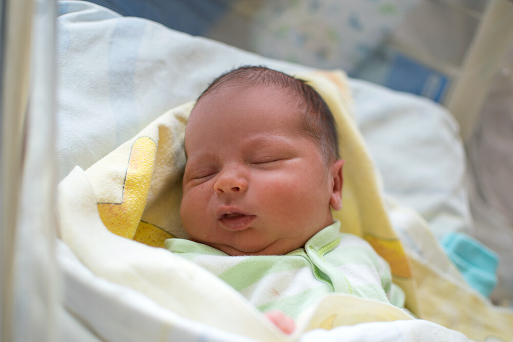 Balcerzak Franciszek