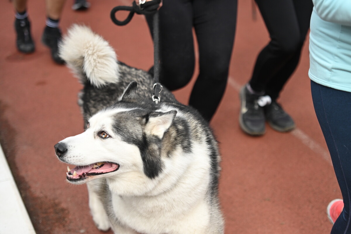 Rudzianie po raz kolejny pobiegli z wiewiórką! Za nami kwietniowa edycja biegu / fot. Krzysztof Faber