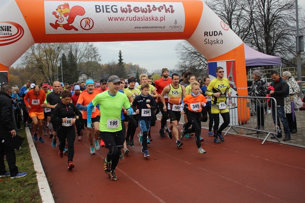 Ostatni w tym roku "Bieg Wiewiórki" za nami! Wczoraj biegacze i miłośnicy nordic walking po raz ostatni pobiegli z wiewiórką w halembskim lesie. Za przynajmniej siedem ukończonych biegów w tegorocznym cyklu otrzymali pamiątkowe statuetki z wizerunkiem wiewiórki.