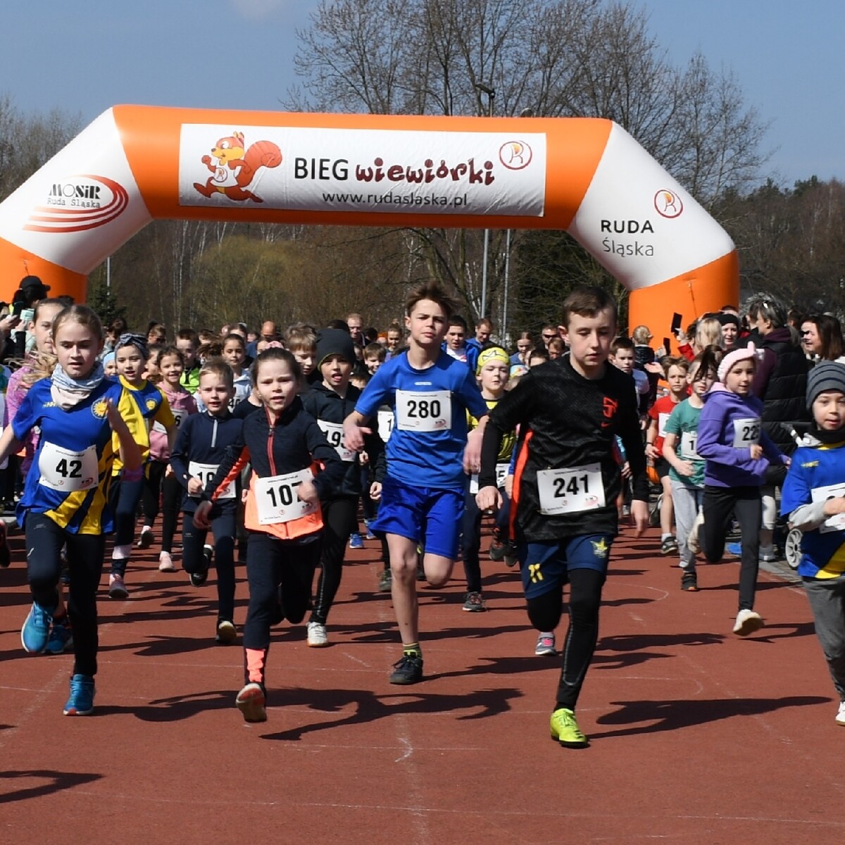 Dzisiaj w Rudzie Śląskiej ruszył siódmy cykl "Biegu Wiewiórki". Tradycyjnie bieg organizowany jest na bieżni Szkoły Podstawowej Sportowej nr 15 oraz w halembskim lesie.

fot. Jacek Knapik