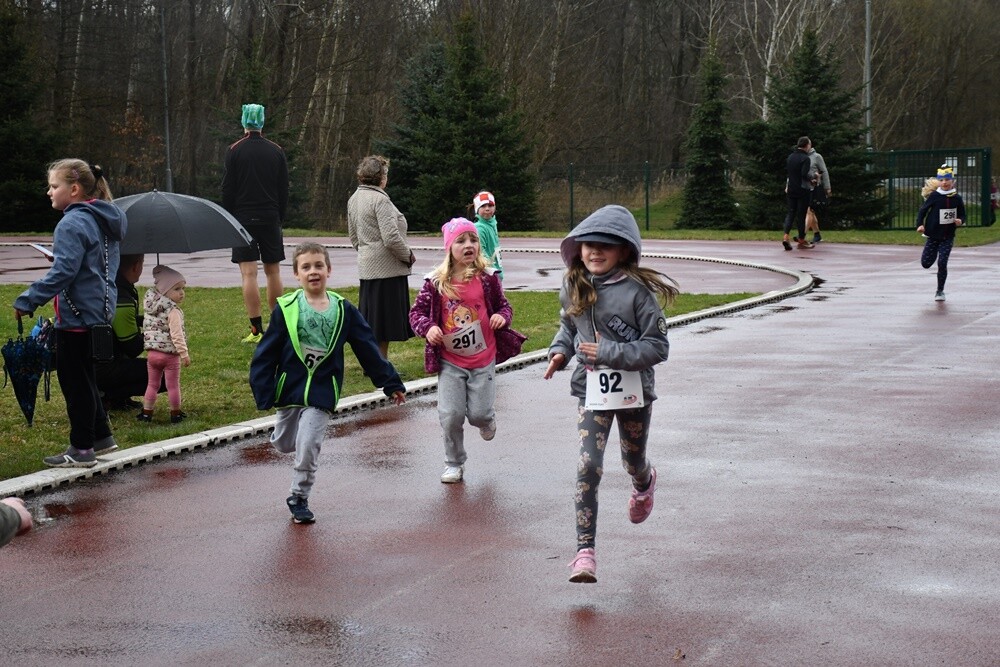 Miłośnicy aktywnego stylu życia znów pobiegli z rudzką wiewiórką. W sobotę na bieżni Szkoły Podstawowej Sportowej nr 15 oraz w halembskim lesie rozpoczął się kolejny cykl "Biegu Wiewiórki". 

fot. Jacek Knapik