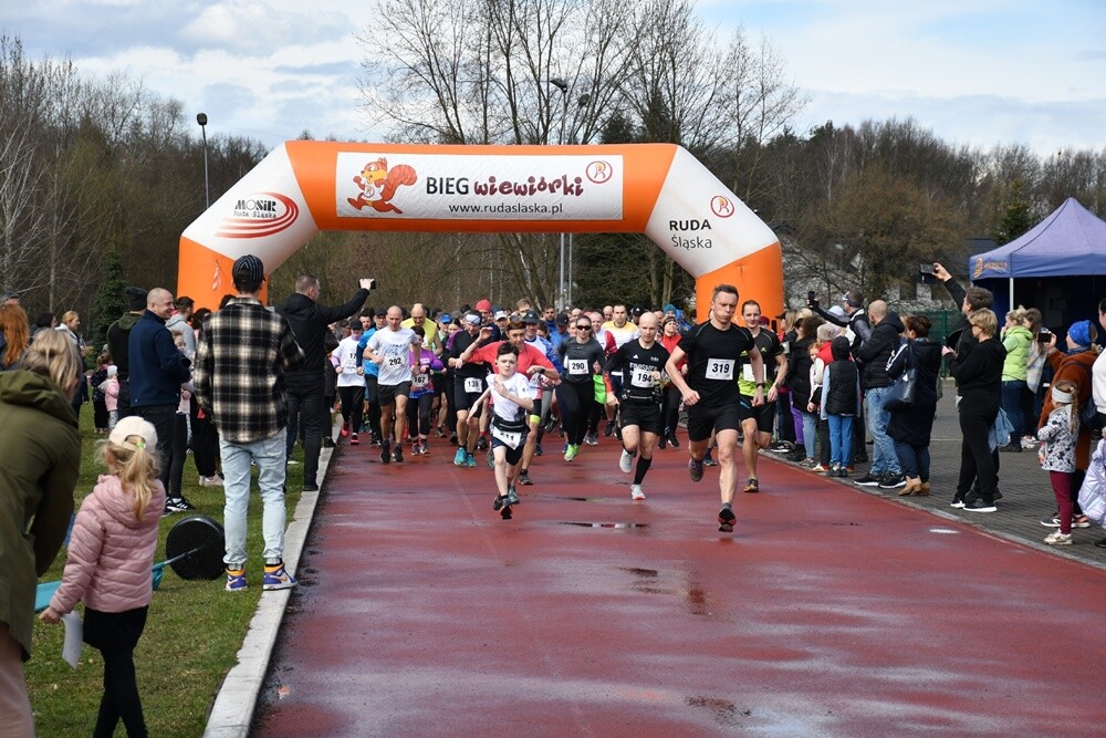 Miłośnicy aktywnego stylu życia znów pobiegli z rudzką wiewiórką. W sobotę na bieżni Szkoły Podstawowej Sportowej nr 15 oraz w halembskim lesie rozpoczął się kolejny cykl "Biegu Wiewiórki". 

fot. Jacek Knapik