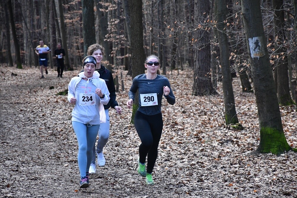Miłośnicy aktywnego stylu życia znów pobiegli z rudzką wiewiórką. W sobotę na bieżni Szkoły Podstawowej Sportowej nr 15 oraz w halembskim lesie rozpoczął się kolejny cykl "Biegu Wiewiórki". 

fot. Jacek Knapik