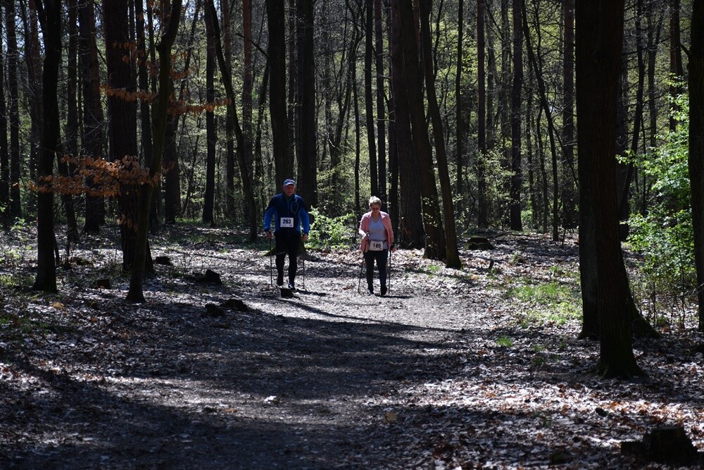 Zapaleni biegacze i miłośnicy nordic walking w  promieniach kwietniowego słońca znowu pobiegli z wiewiórką! W halembskim lesie odbył się drugi w tym roku "Bieg Wiewiórki", podczas którego swoje siły sprawdzili starsi i młodsi sportowcy. Nie zabrakło również dzieci.

fot. Jacek Knapik