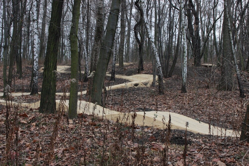 Park Strzelnica w Rudzie Śląskiej - Bielszowicach ma kolejną atrakcję. W ramach budżetu obywatelskiego powstała tam trasa rowerowa typu singletrack. To ponad 1,6 km toru, 3 trasy zjazdowe o różnym stopniu trudności i miejsca do odpoczynku. Koszt inwestycji to ponad 226 tys. zł.