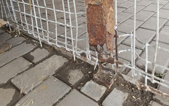 Uruchomiono zbiórkę na modernizację schroniskowych boksów/fot. TOZ Fauna