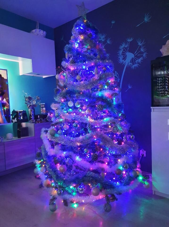 Tradycyjnie, jak co roku, na naszym profilu Facebook RudaSlaska.com.pl, poprosiliśmy naszych czytelników o udostępnienie zdjęć swoich bożonarodzeniowych choinek.