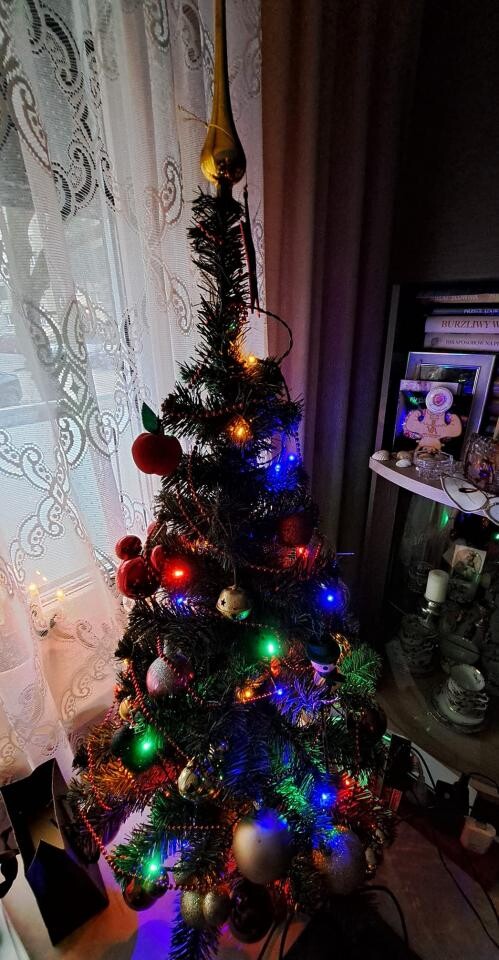 Tradycyjnie już jak co roku na Facebooku RudaSlaska.com.pl poprosiliśmy naszych czytelników, aby wysłali nam zdjęcia swoich choinek bożonarodzeniowych. Odzew był bardzo pozytywny.