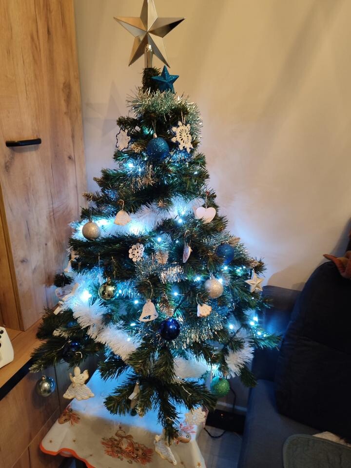 Tradycyjnie już jak co roku na Facebooku RudaSlaska.com.pl poprosiliśmy naszych czytelników, aby wysłali nam zdjęcia swoich choinek bożonarodzeniowych. Odzew był bardzo pozytywny.