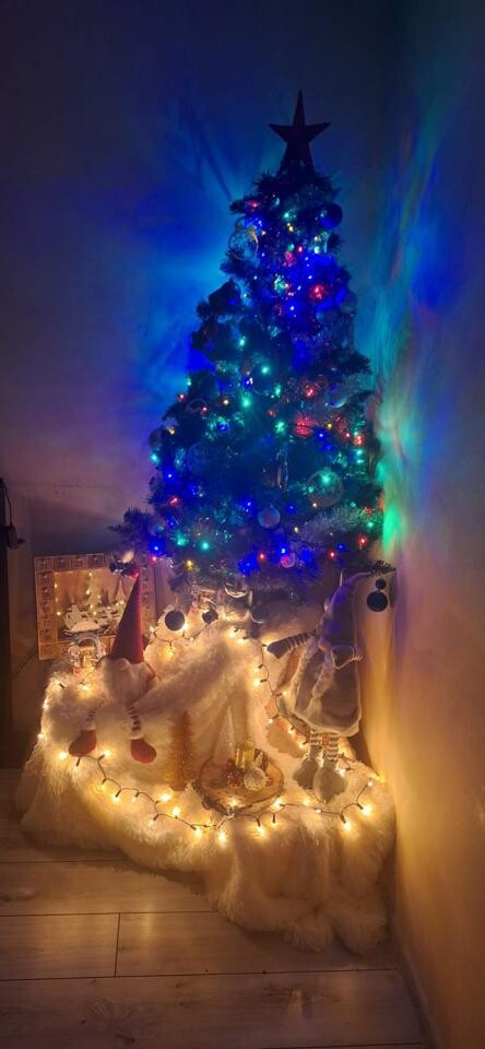 Tradycyjnie już jak co roku na Facebooku RudaSlaska.com.pl poprosiliśmy naszych czytelników, aby wysłali nam zdjęcia swoich choinek bożonarodzeniowych. Odzew był bardzo pozytywny.