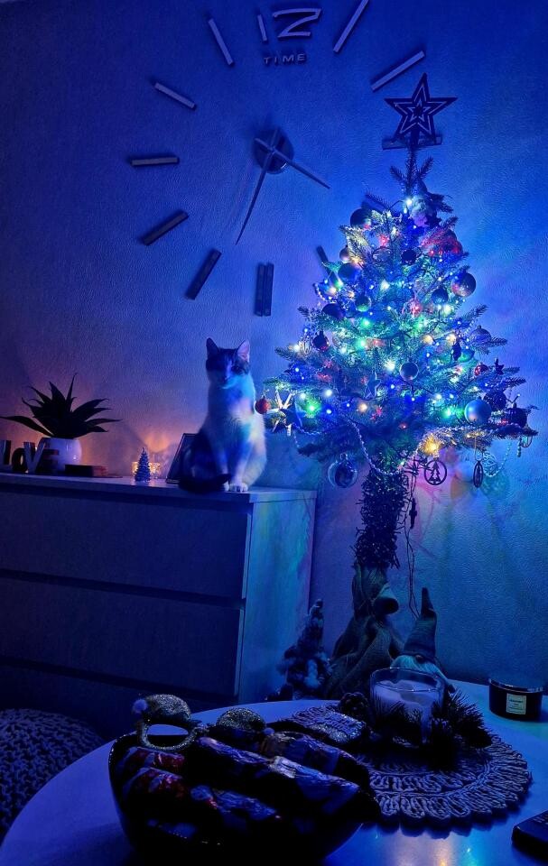 Tradycyjnie już jak co roku na Facebooku RudaSlaska.com.pl poprosiliśmy naszych czytelników, aby wysłali nam zdjęcia swoich choinek bożonarodzeniowych. Odzew był bardzo pozytywny.