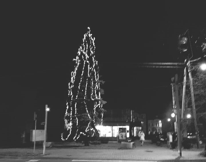 Choinka na kochłowickim rynku w tym roku bez lampek