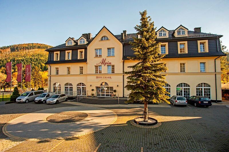 Codzienne przewozy osób i towarów na trasie Polska - Wiedeń