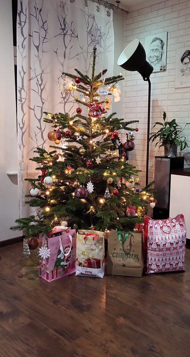 Tradycyjnie już jak co roku na Facebooku RudaSlaska.com.pl poprosiliśmy naszych czytelników, aby wysłali nam zdjęcia swoich choinek bożonarodzeniowych. Odzew był bardzo pozytywny. Zobaczcie stworzoną galerię ozdobionych drzewek!