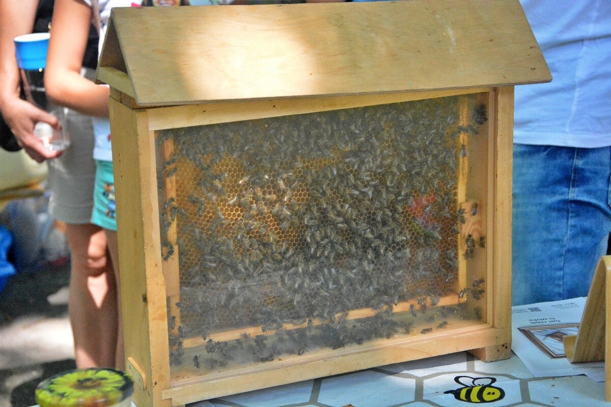 Czwarty Ogród Śniadaniowy 2024 / fot. Jacek Knapik